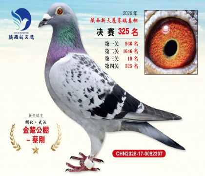 陕西新天鹰决赛325名