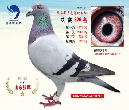 陕西新天鹰决赛326名
