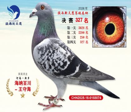 陕西新天鹰决赛327名