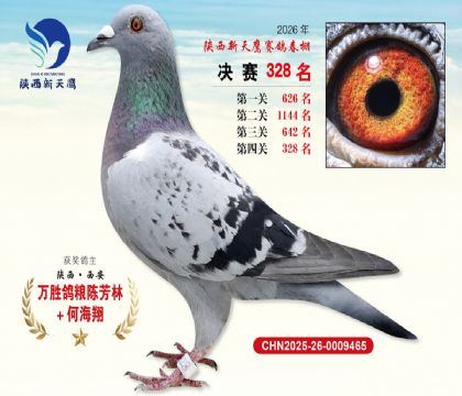 陕西新天鹰决赛328名