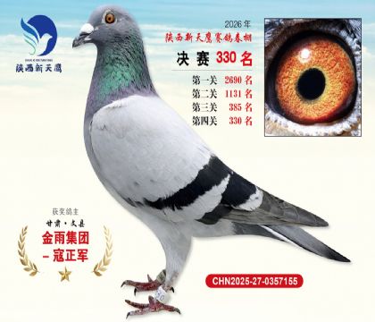 陕西新天鹰决赛330名