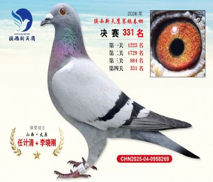 陕西新天鹰决赛331名