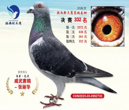 陕西新天鹰决赛332名