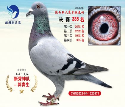 陕西新天鹰决赛335名