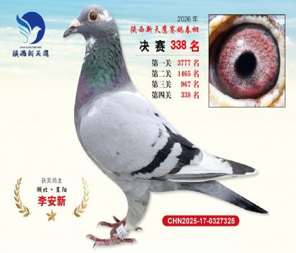 陕西新天鹰决赛338名