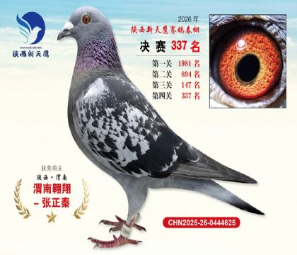 陕西新天鹰决赛337名