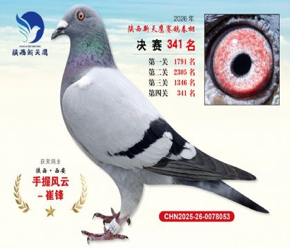 陕西新天鹰决赛341名