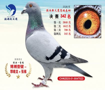 陕西新天鹰决赛342名