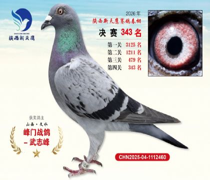 陕西新天鹰决赛343名