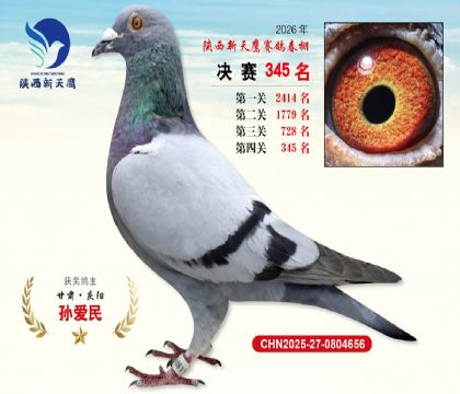 陕西新天鹰决赛345名