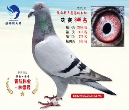 陕西新天鹰决赛346名