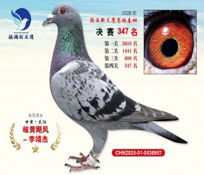 陕西新天鹰决赛347名