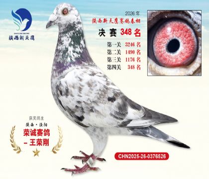 陕西新天鹰决赛348名