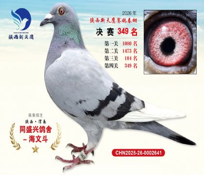 陕西新天鹰决赛349名