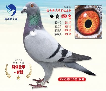 陕西新天鹰决赛350名