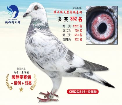 陕西新天鹰决赛352名