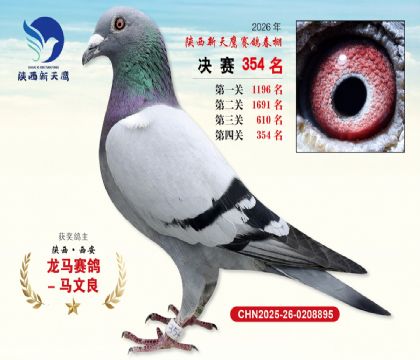 陕西新天鹰决赛354名