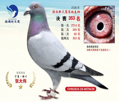 陕西新天鹰决赛353名