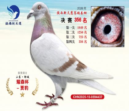 陕西新天鹰决赛356名