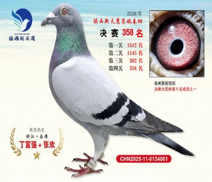 陕西新天鹰决赛358名