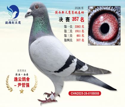 陕西新天鹰决赛357名