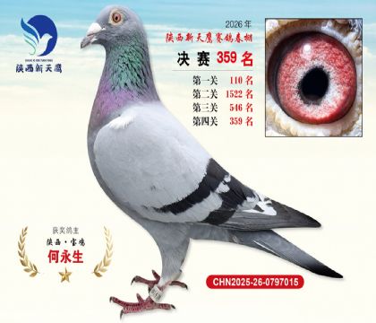陕西新天鹰决赛359名