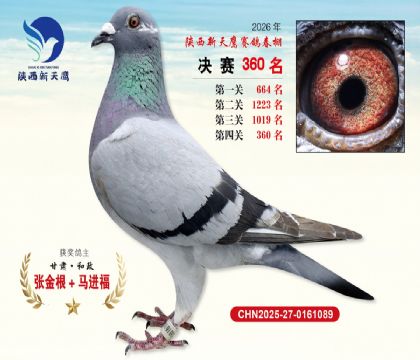 陕西新天鹰决赛360名