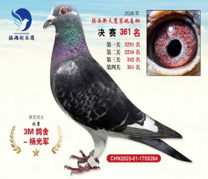 陕西新天鹰决赛361名