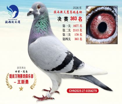 陕西新天鹰决赛363名