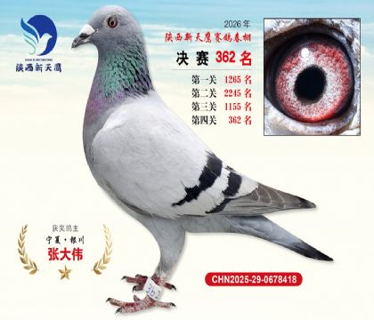陕西新天鹰决赛362名