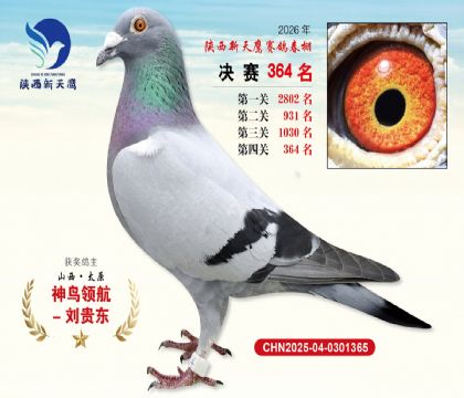 陕西新天鹰决赛364名