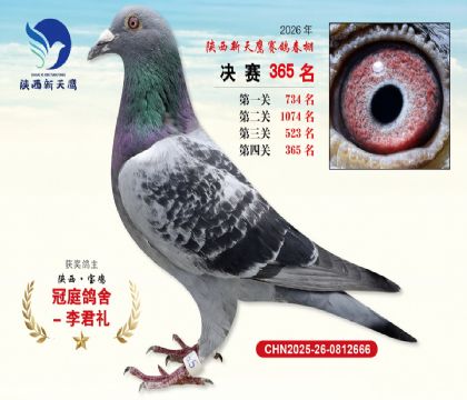 陕西新天鹰决赛365名