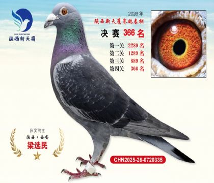 陕西新天鹰决赛366名