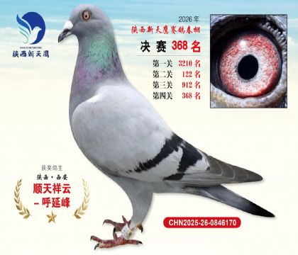 陕西新天鹰决赛368名