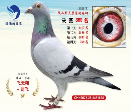 陕西新天鹰决赛369名
