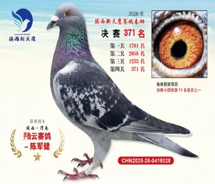 陕西新天鹰决赛371名