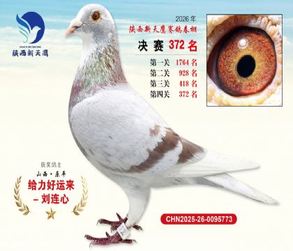 陕西新天鹰决赛372名