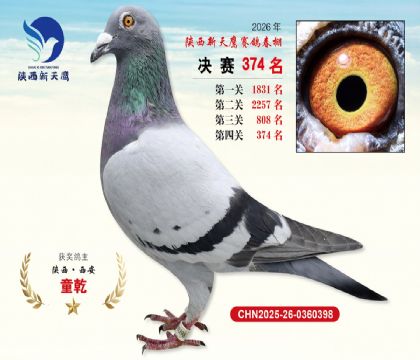 陕西新天鹰决赛374名