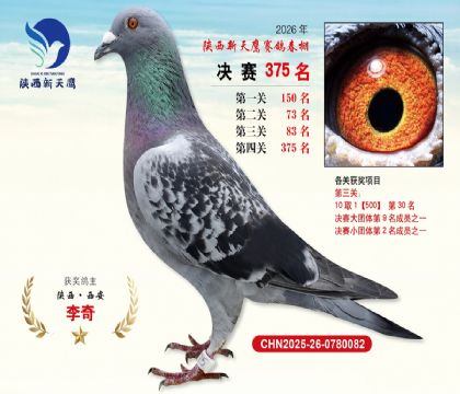 陕西新天鹰决赛375名