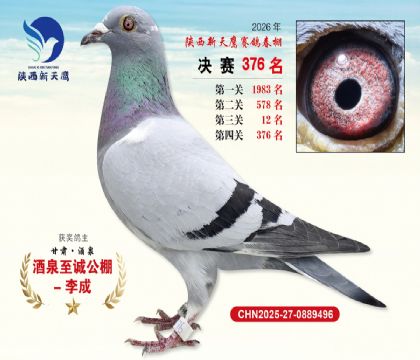 陕西新天鹰决赛376名