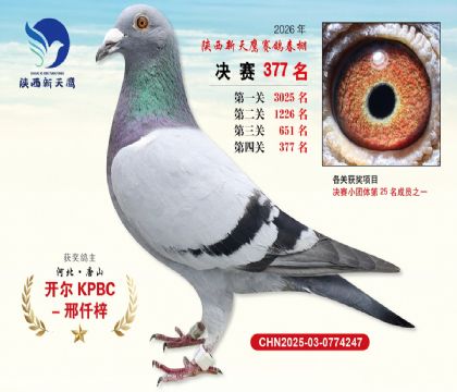陕西新天鹰决赛377名