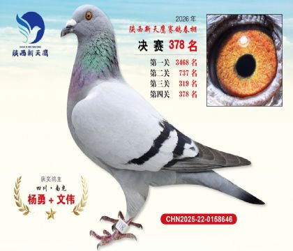 陕西新天鹰决赛378名