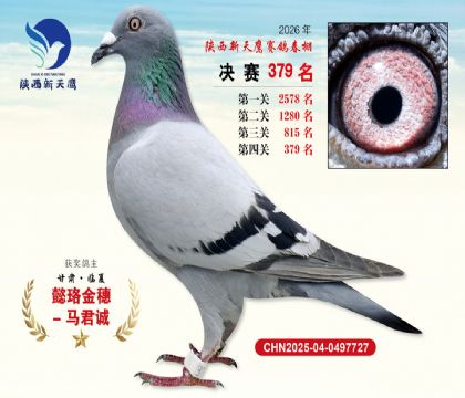 陕西新天鹰决赛379名