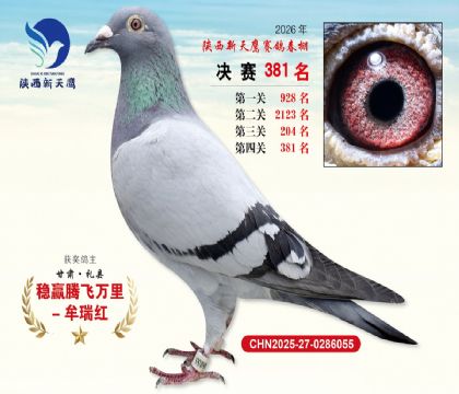 陕西新天鹰决赛381名