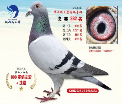 陕西新天鹰决赛382名