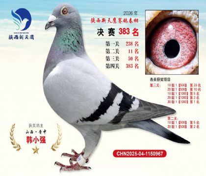 陕西新天鹰决赛383名