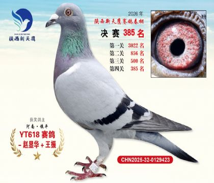 陕西新天鹰决赛385名