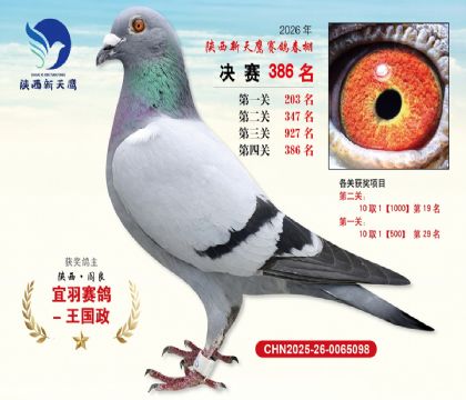 陕西新天鹰决赛386名