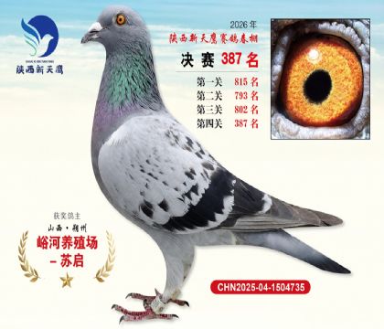 陕西新天鹰决赛387名