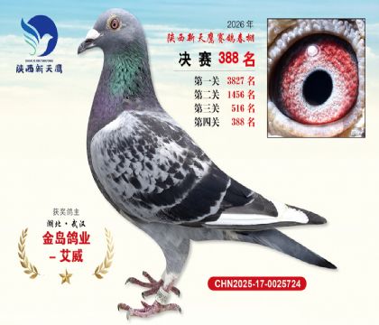 陕西新天鹰决赛388名